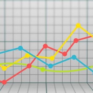 Credit Report Monitoring